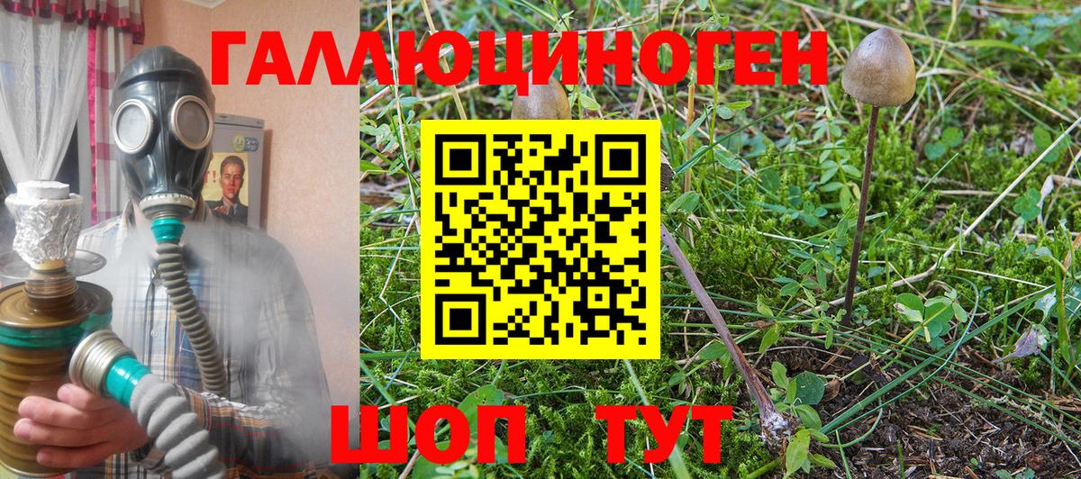 Жигулёвск  Галлюциногенные грибы MAGIC MUSHROOMS  Вход с VPN  Галлюциногенные грибы Cubensis 