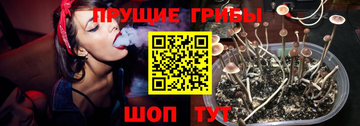 Галлюциногенные грибы ЛСД Жигулёвск